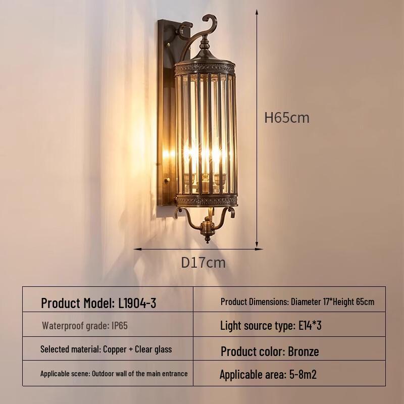 oeny Antique Copper Outdoor Wall Sconce