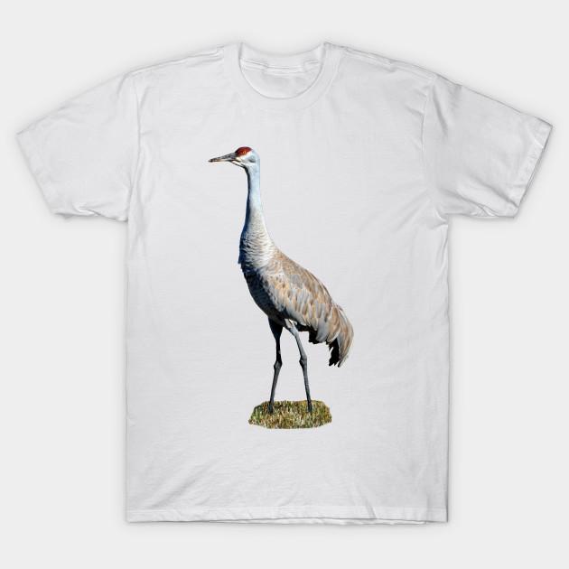 Men Black Print T-shirt Sandhill Crane Photo No-Cut Transfer Paper Print Cotton Tshirt L белый
