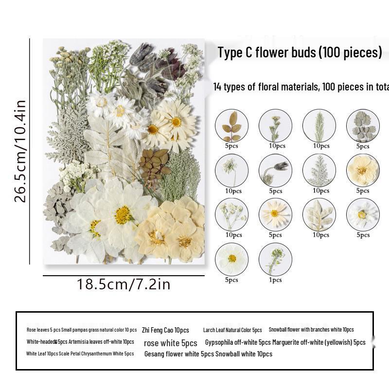 DIY Dried Flower Specimen Sticker Set for Kids: Handmade Pressed Flower Frames & Resin Bookmark Craft Kit