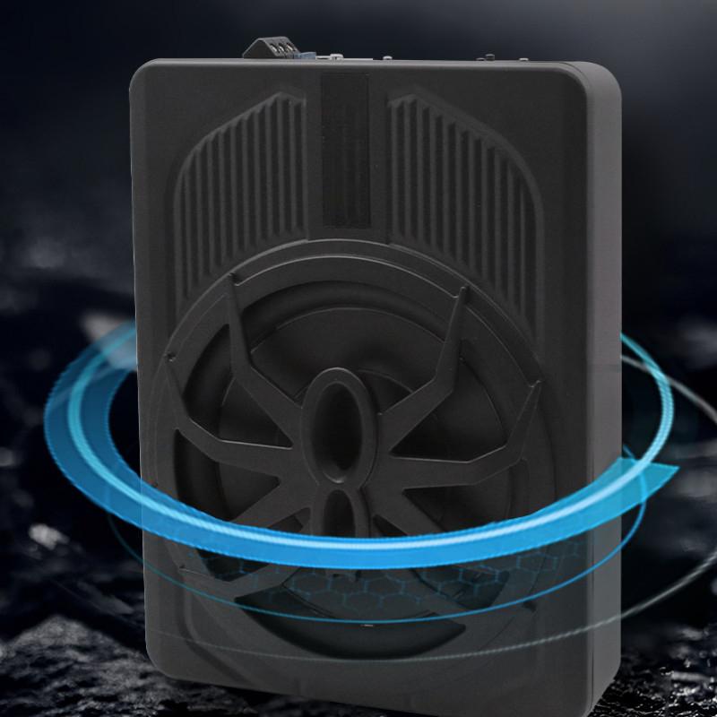 10 Inch Active High Power Pure Subwoofer Car Ultra Thin Power Amplifier 800W Car Audio Modification Speaker