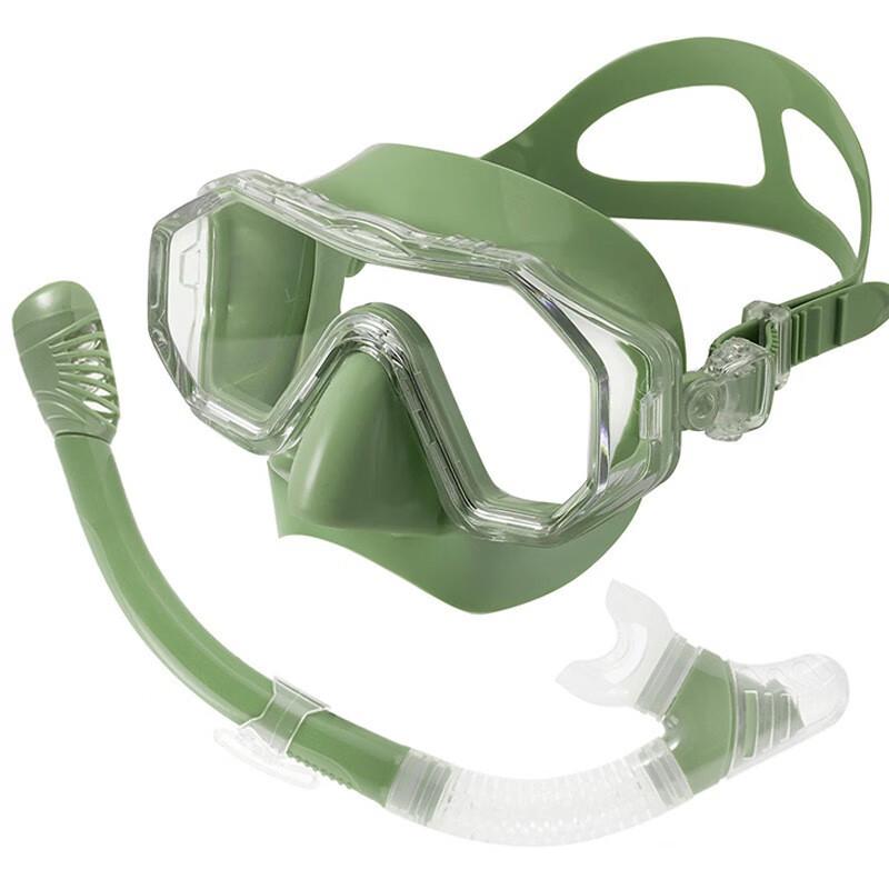 Adult Anti-Fog Snorkel Mask & Dry Snorkel Set