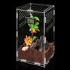 Insect Feeding Box Acrylic Transparent Cases with Temperature Hygrometer for Spiders Reptiles Lizards Centipedes
