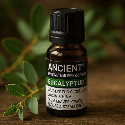 6x Eucalyptus Essential Oil 10 Ml