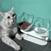 Hot pet bowl cat neck guard Transparent tilt cat face double bowl anti-splash non-slip food for cats and dogs