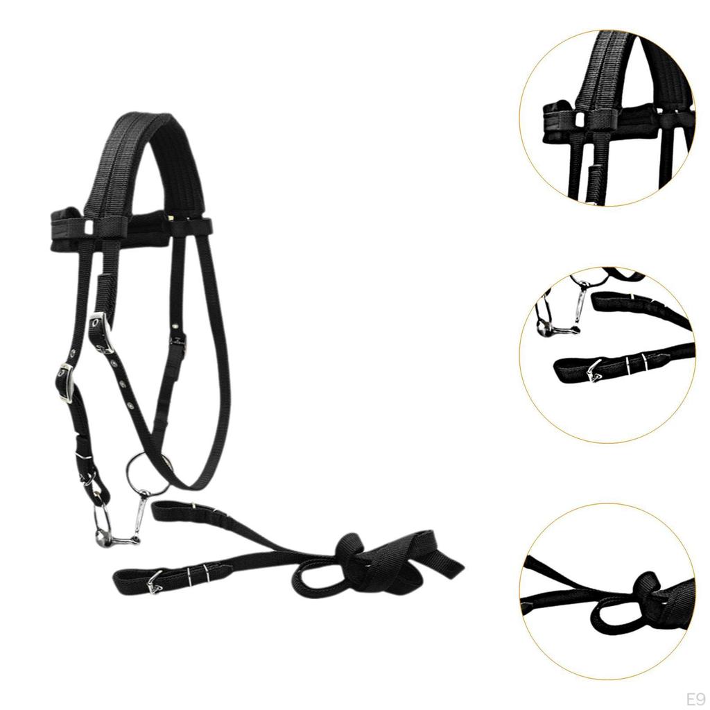 Adjustable Bridle with Rein Halter And Side Pull Reins, Leading Rope Headstall Gear