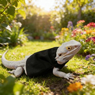Reptile Clothes Adjustable Drawstring Pullover Pet Reptile Apparel Vest for Small Reptiles Bearded Dragons Geckos Lizards