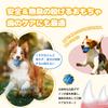 Serviteur Dog Toy Ball Set of 3 Sturdy Large Dog Dog Ball Dog Chew Toy Puppy Pet Educational Toy Safe Material Small Dog Dental Care Throw Unbreakable