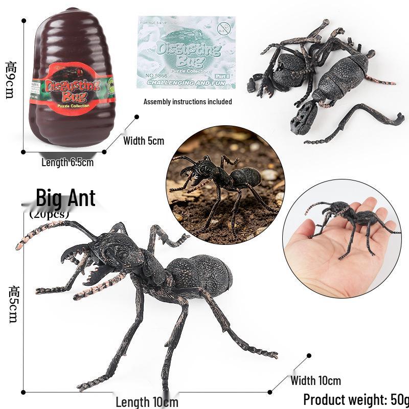 4D Insect Model Toy Set: Ladybug, Stag Beetle, Centipede, Ant, Fly, Mantis