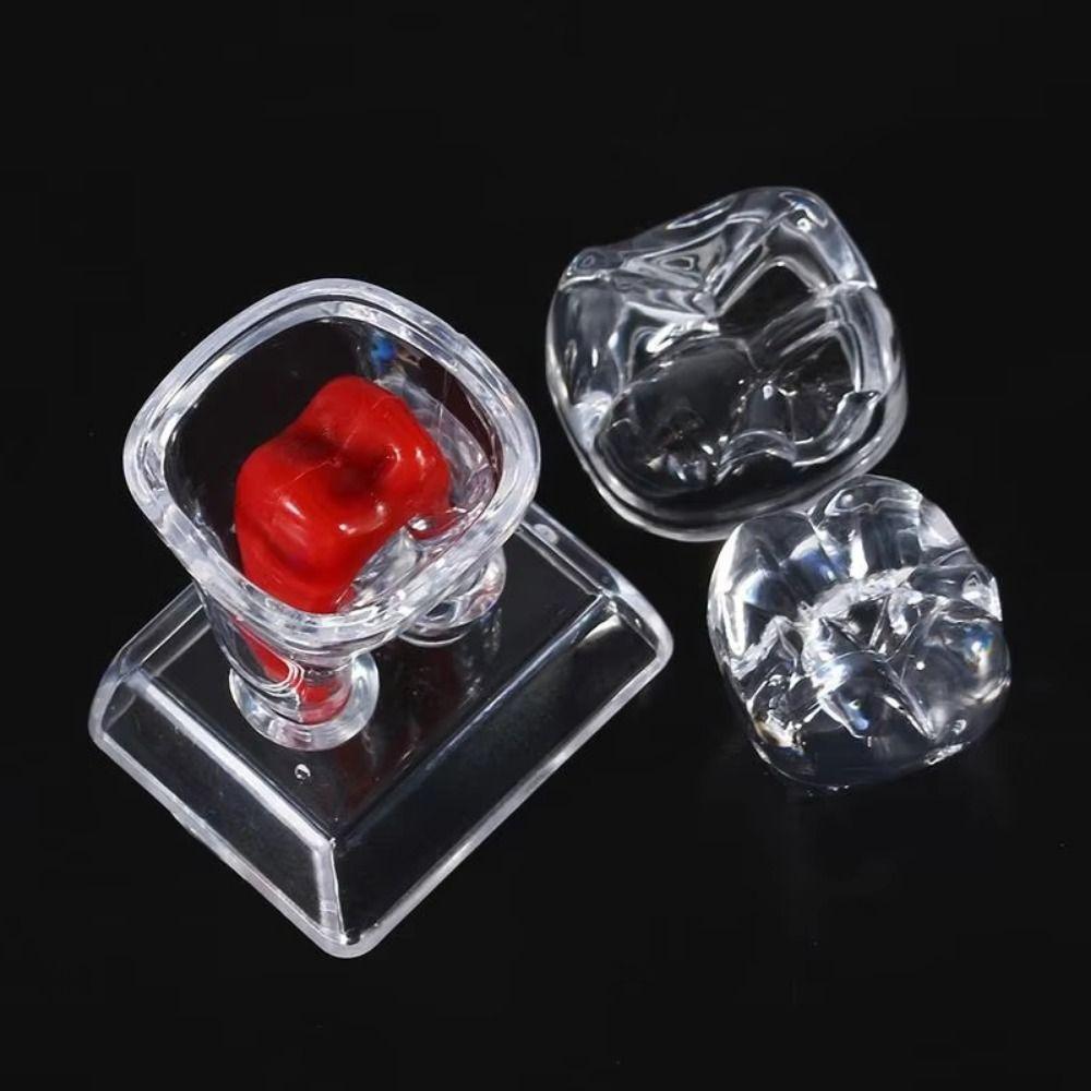 Hard Dental Anatomical Structure Separable Tooth Disintegration Ornaments Gift