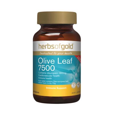 Herbs of Gold Olivenblatt 7500 60 Tbl.