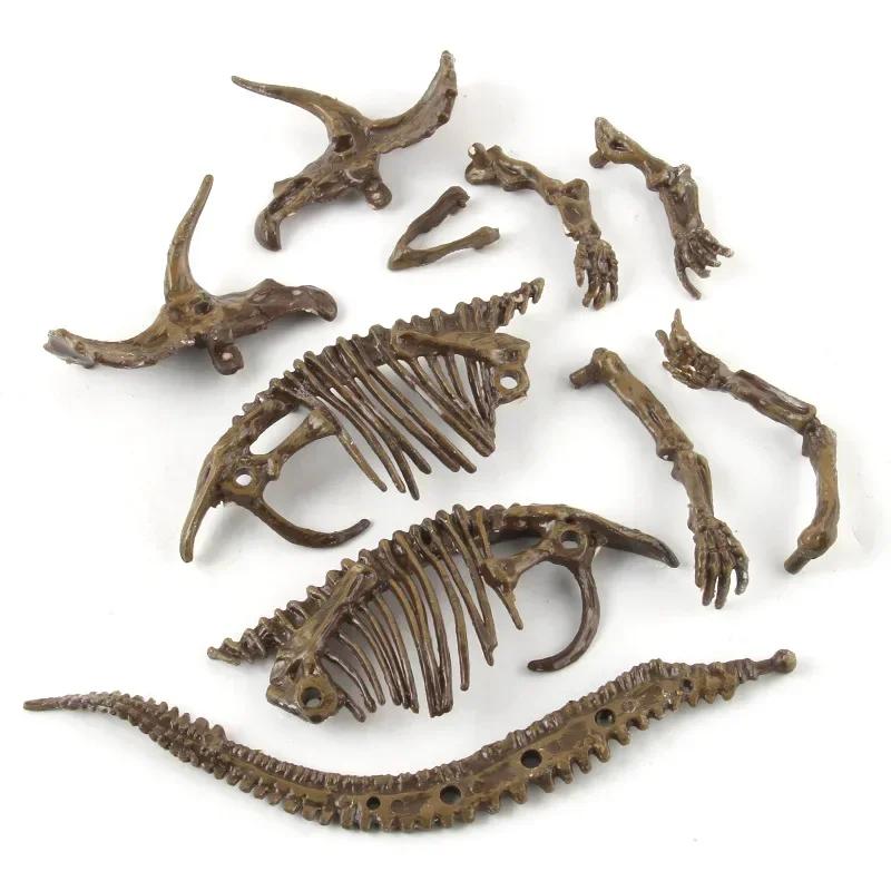 Dinosaur Excavation Fossil Archaeology Scientific and Educational Toy DIY Assembly Simulation Dinosaur Skeleton Animal Model