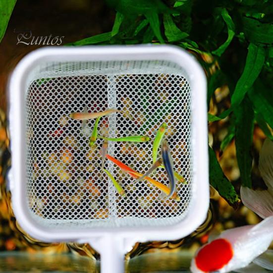 Fisknät med teleskopiskt handtag i rostfritt stål, djupare nätpåse, fisknät, fyrkantigt fisknät för räkor, fiskbebisar, matrester