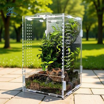 Rettili – Terrari per rettili