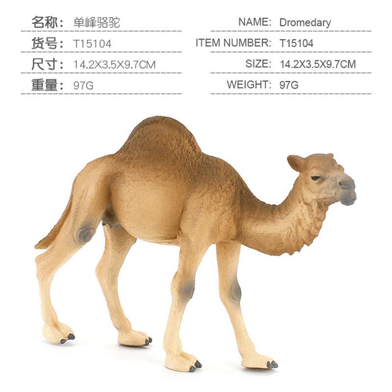 Wildlife Pvc Model Collection With Realistic Desert Camels For Classroom Decor