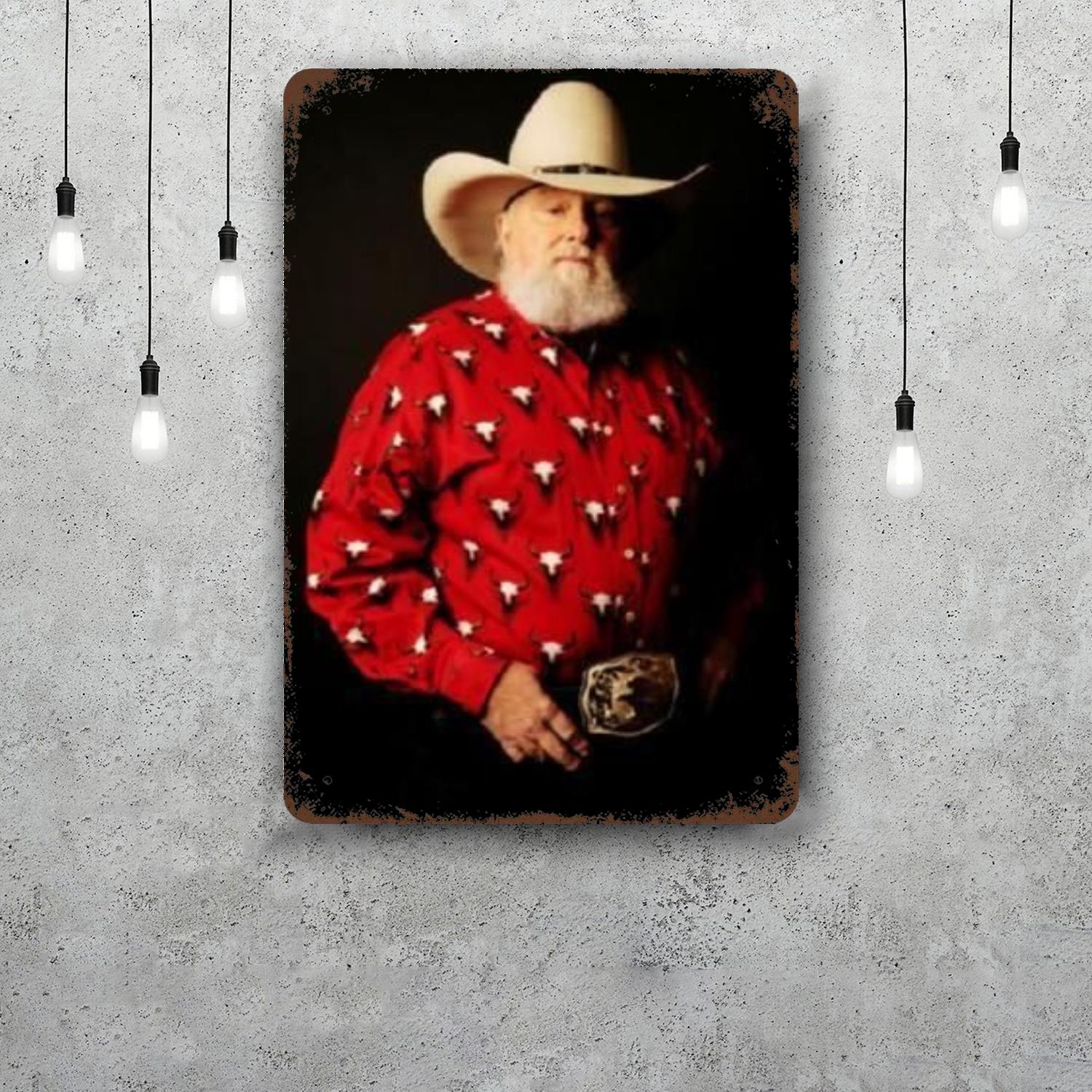 

Charlie Daniels Retro Vintage Tin Sign Poster Decorative Plaque Metal Plate Wall Decor 20x30cm（7.8x11.8inch）