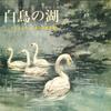 LP Record YASUSHI AKUTAGAWA  Swan Lake  Childrens Concert Hall TKCB2 TOKYO KODOMO CL  Japan Classical Used