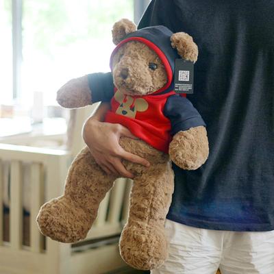 Sweatshirt Teddy Bear Plush Toy Hug Bear Supply Dolls Birthday Gifts for Girlfriends In Chinese Valentine's Day
