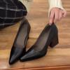 2025 Sheepskin Version~ Retro Thick Heel Pointed Temperament Black Medieval High Heels One Pedal Light Mouth Commuting Shoes