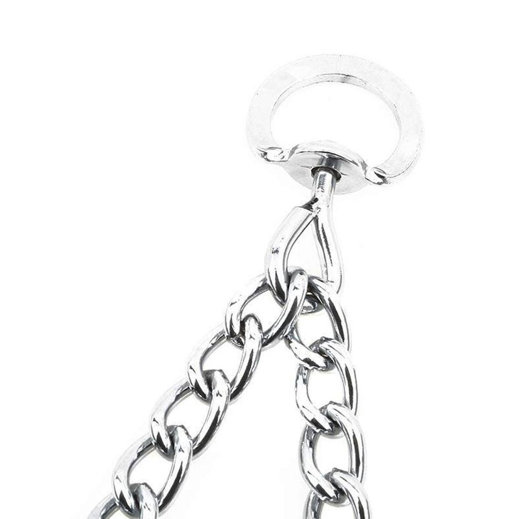 spike training collar