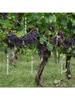 Bird Repellent Reflective Rods 30cm Scare Birds Repeller Wind Spiral Rotating Rod Hanging Ornaments Home Garden Decor