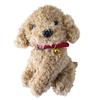 22cm Yaratıcı Gerçekçi Teddy Köpek Şanslı Simülasyon Köpek Kaniş Peluş Oyuncaklar El Yapımı Gerçekçi Figür Oyuncak Peluş Doldurulmuş Hayvanlar