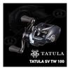 DAIWA Baitcasting Rolle 25 TATULA SV TW 100XHL