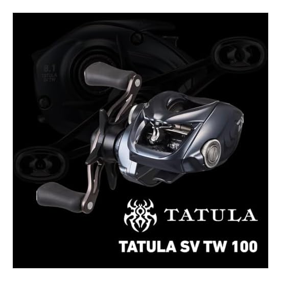 DAIWA Baitcasting Rolle 25 TATULA SV TW 100XHL