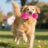 Hantel Hundespielzeug mit Glocke Bissfest Langeweile Stressabbau TPR Hantelform Welpenspielzeug Haustier Zahnen Reinigung Interaktives Spielzeug