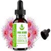 Pure Herbs Eucalyptus (Eucalyptus Globulus) Pure & Natural Therapeutic Grade Essential Oil Plastic with Dropper