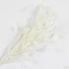 25 30cm Colored Chicken Feather Sprays On Wire For Florist Decor