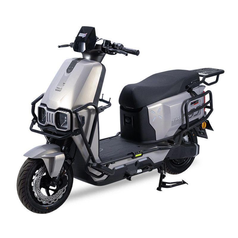 Tailg Chitu EB 2025 Electric Bike Rear Cargo Rack & Anti-Fall Bumper