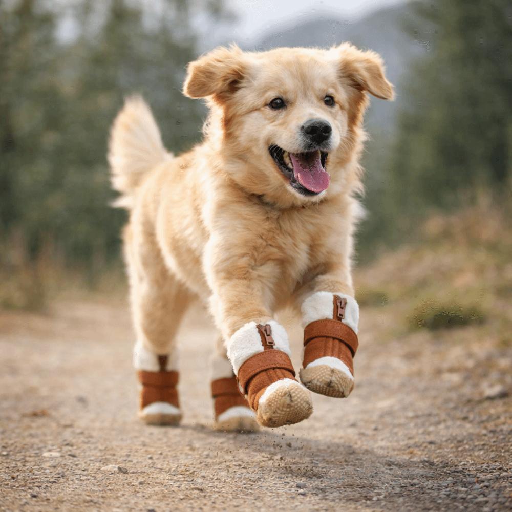 4 Stück/Set Verdicken Winter Hundeschuhe Wasserdicht Haustier Warme Stiefel Pfotenschutz Hundezubehör