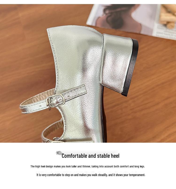 Silver Chunky Heel Mary Jane Ballet Flats for Women - Spring 2025 Collection