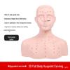 Bald Beauty Mannequin Head with Shoulders for Face Massage