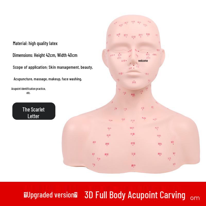 Bald Beauty Mannequin Head with Shoulders for Face Massage