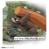 Takara Tomy Ania AC-06 Sloth (Children's) Animal Dinosaur Toy for Ages 3 and Up