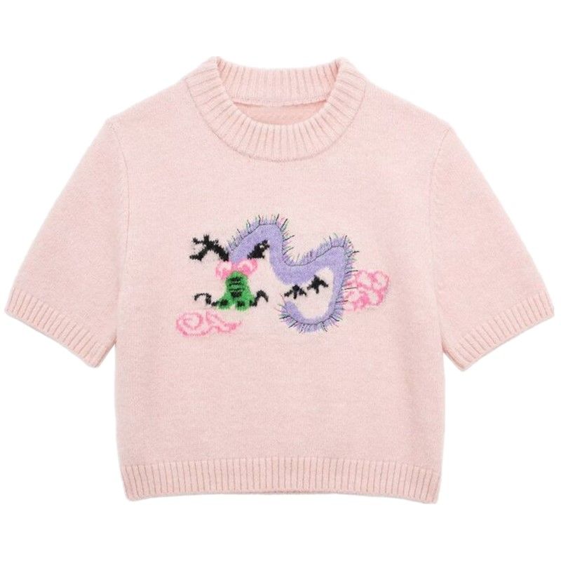 Fashion Style 2024 Spring New Arrival Women's Clothing Slim Looking Easiest for Match Embroidery Short Top Sweater 5755003620