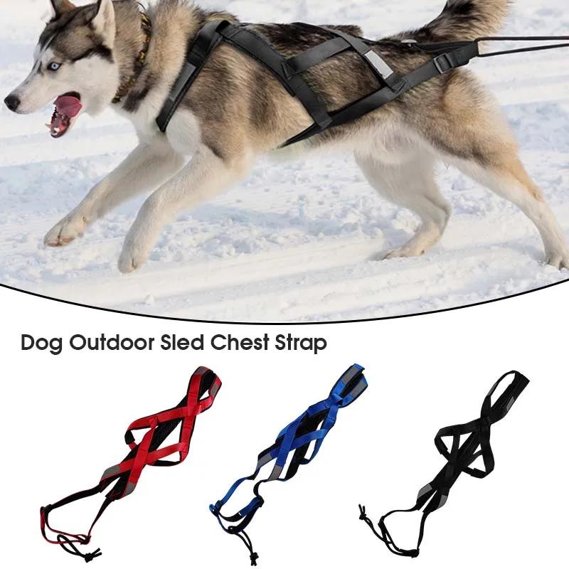 Dog Outdoor Sled Harness Medium Large Dog Weight Training Traction Strap Husky Samoyed Alaska Ski Leash Snowboard Chest Strap