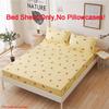 Sheet Bed Fitted Cover Without Pillowcase Floral Printed Single King Double