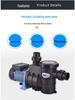 Swimming Pool Spa Water Circulation and Filtration Pump