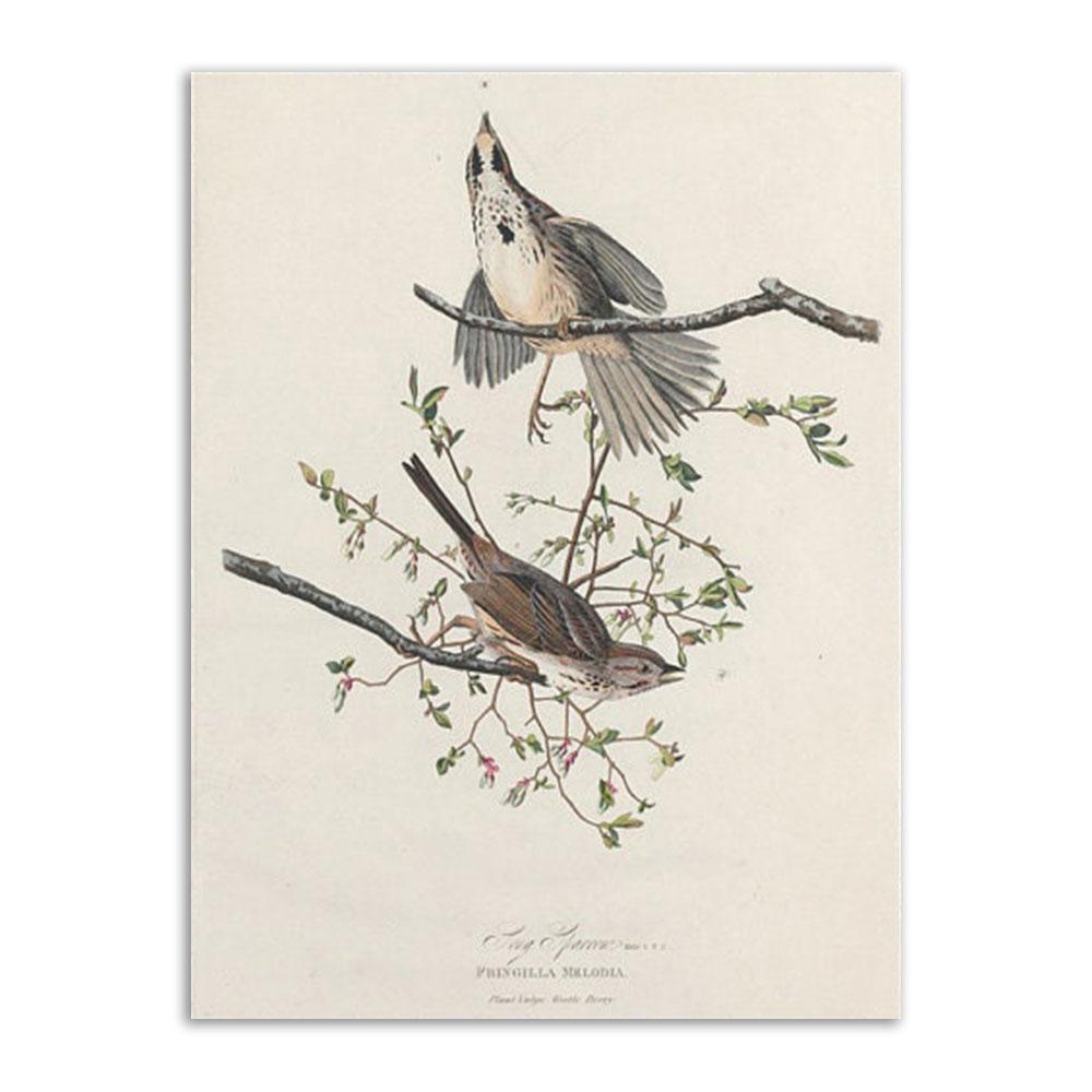 

Винтажная картина на холсте, принты, ретро портрет, литературный эскиз, настенный художественный постер и принты, скандинавские настенные картины для гостиной 21x30cm No Frame