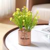 1Pc Potted Plant Northern Europe Simulated Flower Holiday Gifts Weave Modern Simplicity Hangings Home Decoration Plastic