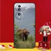 Grizzly Bear Case For Honor X8a X9a X7a X6a X6 X7 X8 X9 X8b X9b 90 70 50 Magic 5 Pro Magic 6 Lite Cover