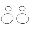 Pool Pump Ring Set for SPS25 SPS75 SPS100 Transparent PreFilter Seals