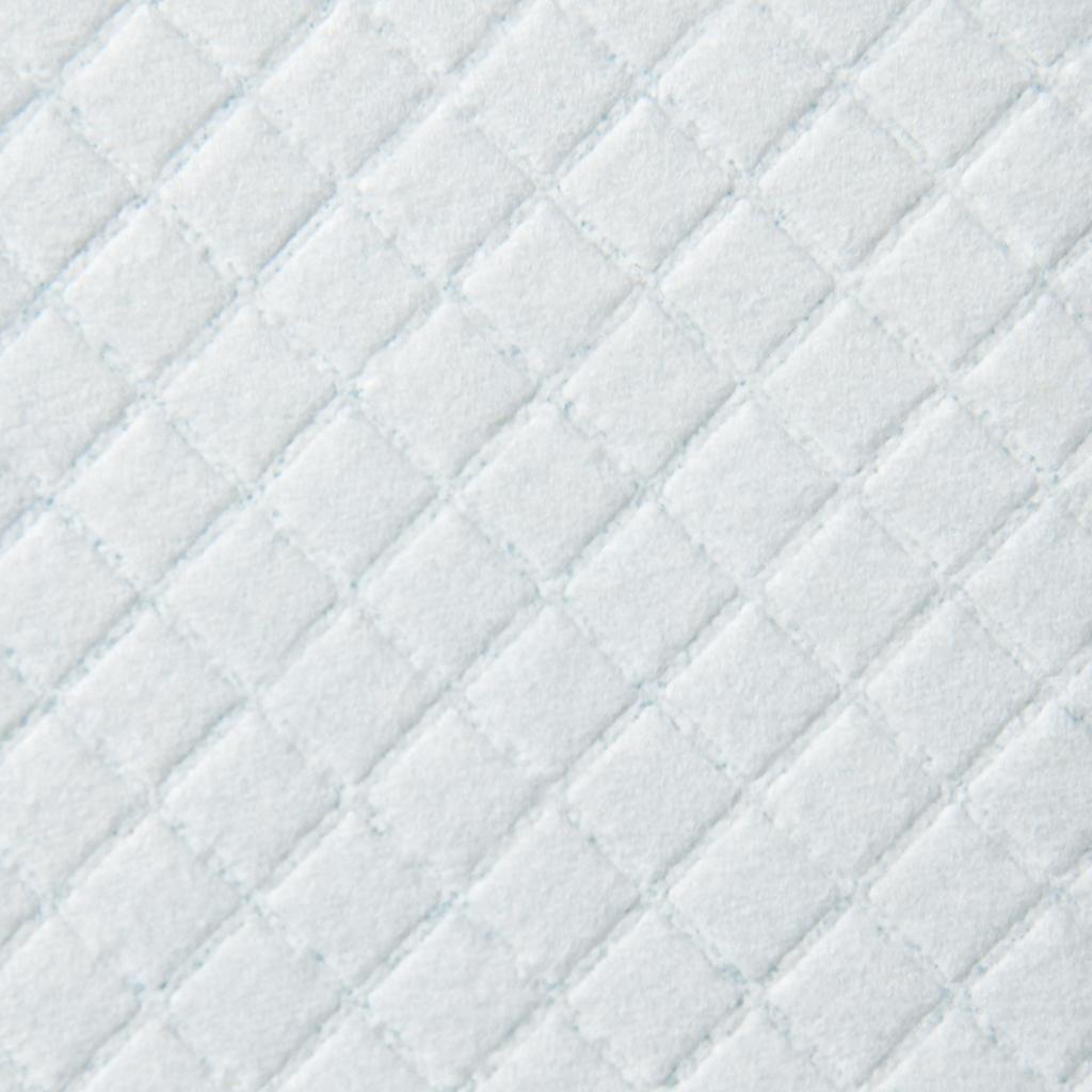 Set of 100 6-Layer Non-Woven, Paper, and PE Dog Toilet Pads, 45 x 30 cm, Blue and White