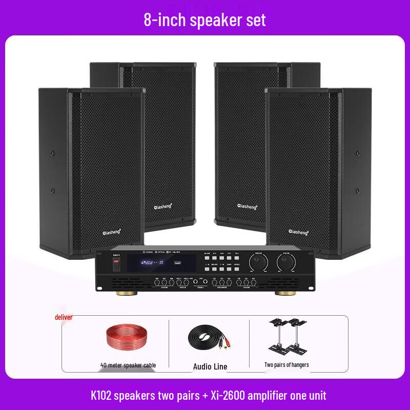 QIASHENG Professional Conference Room & Stage Audio System CN plug (adapter included)