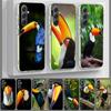 Tropical Toucan Cover For Samsung A54 A34 A24 A14 A53 A33 A23 A13 A52S A32 A22 A12 Phone Galaxy A03 A04 A02S A42 A73 TPU Case
