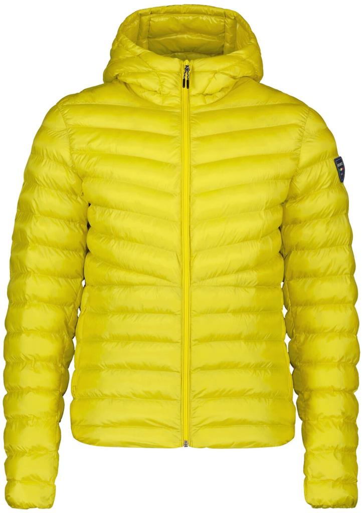 Dolomite Gard Hood Jacket for Men Pearl Gray