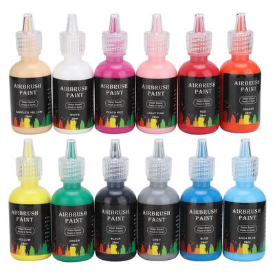 12 Colors Liquid Pigment Set DIY Paint Ink Dye Supplies for DIY Clothing Car Crafts Art Making 348ml