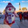 Authentic Little Penguin Plush Toy - Harbin Celebrity Doll